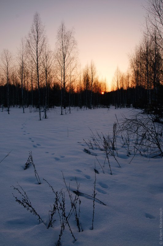 Заяц опять ушел на западphoto preview