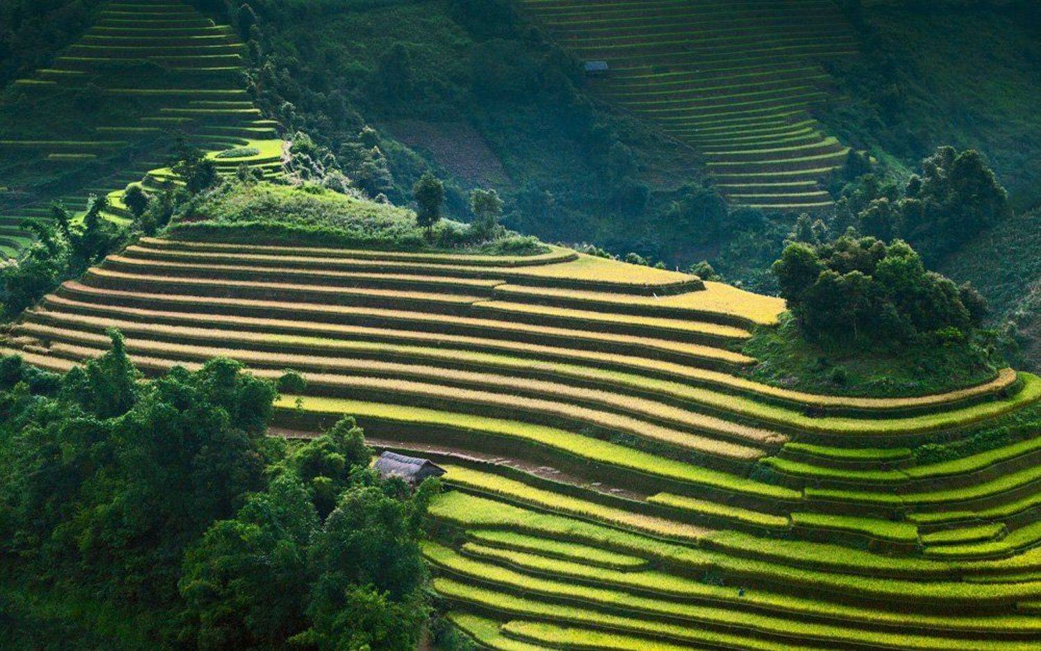 hai, вьетнам, Hai Trinh Xuan