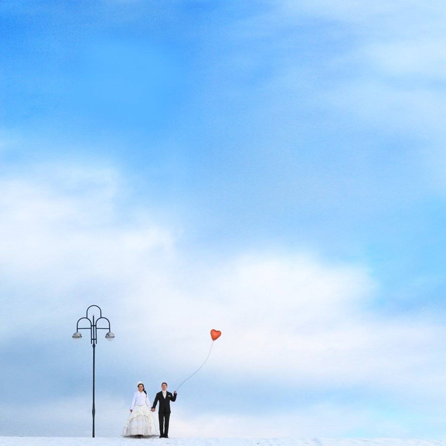 ***. Автор: Алексей Новопашин свадебное, пара, небо, Алексей Новопашин
