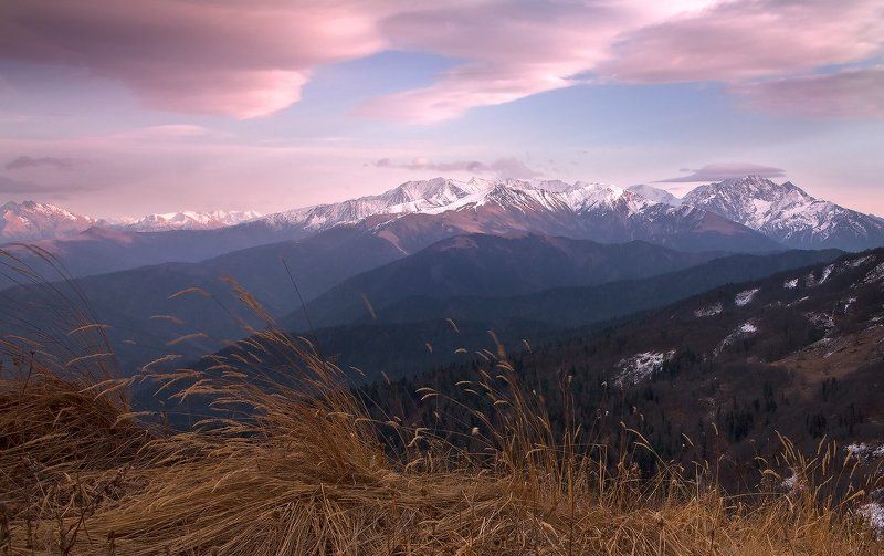 Первый свет зимы..photo preview