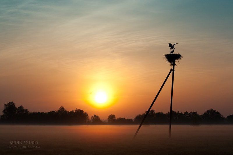 Любовь и аистыphoto preview