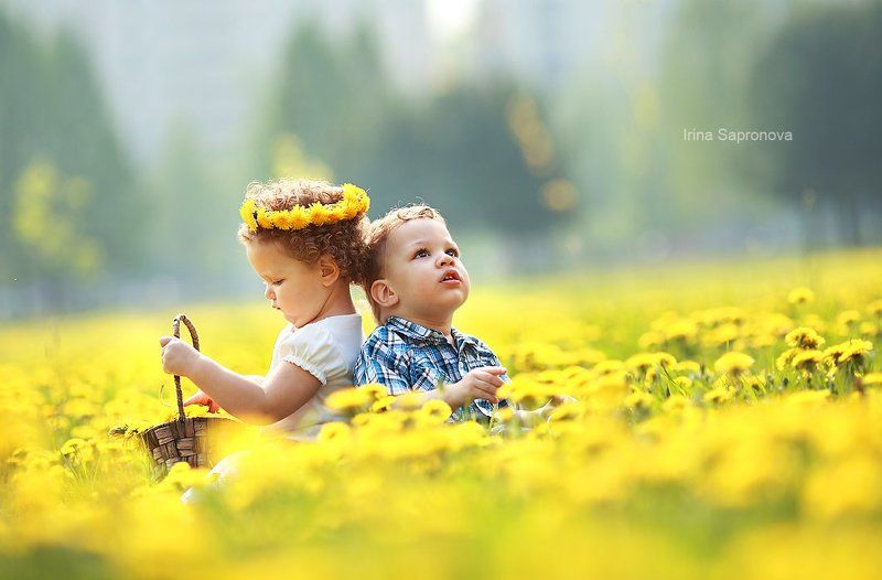 одуванчикиphoto preview