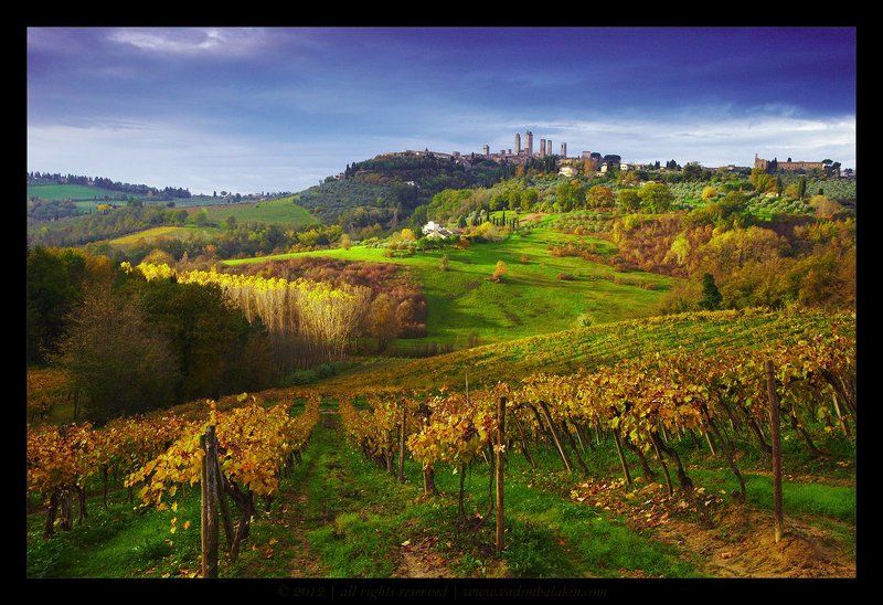 тоскана, италия Виноградники Сан-Джиминьяноphoto preview