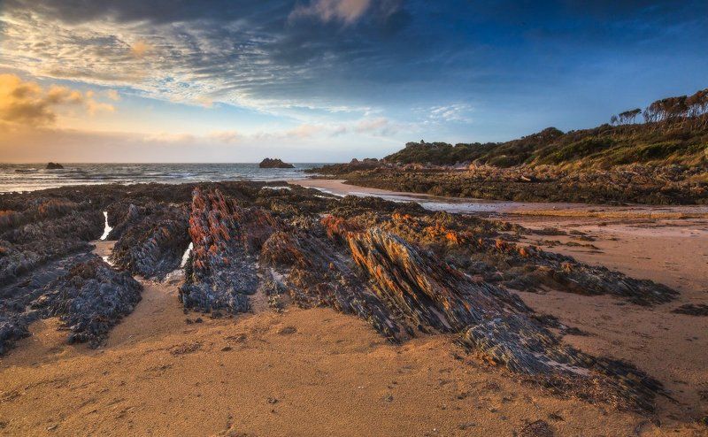 И снова про Тасманию.photo preview