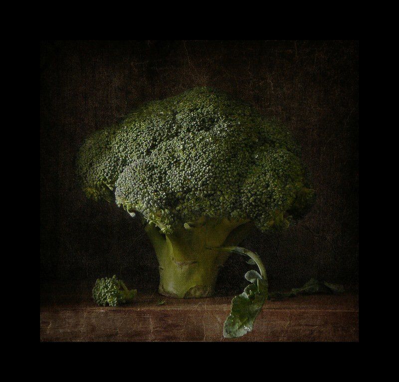 Такое деревоphoto preview