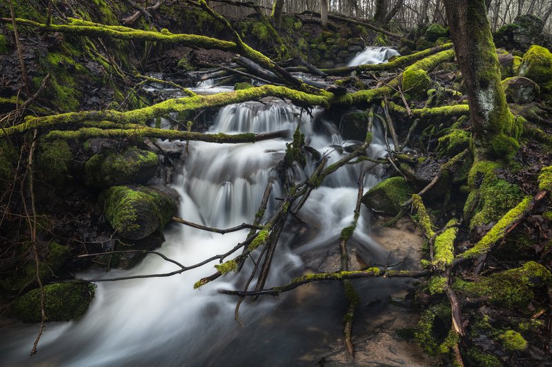 изборск, россия, ручей, зима, река Мельничий ручей.photo preview