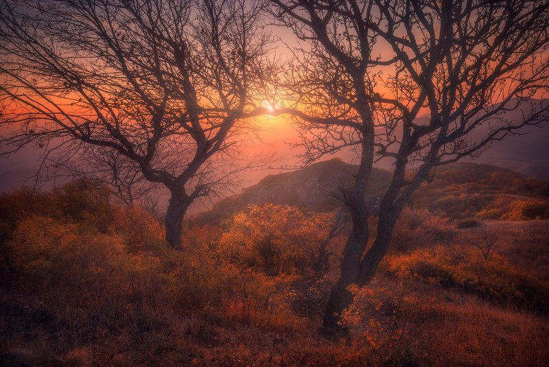 Autumn Harmonyphoto preview