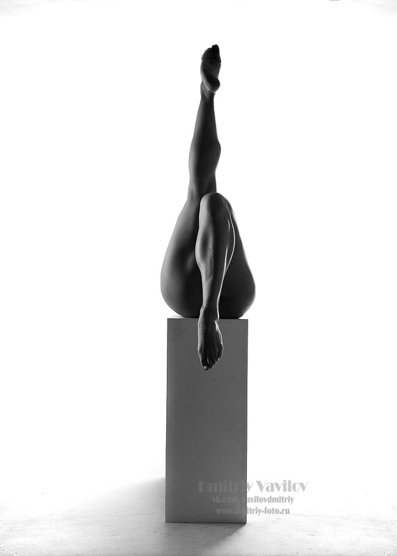 Геометрияphoto preview