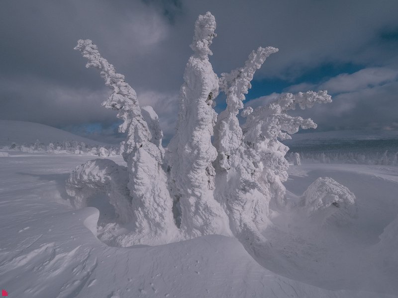 Снежная коронаphoto preview