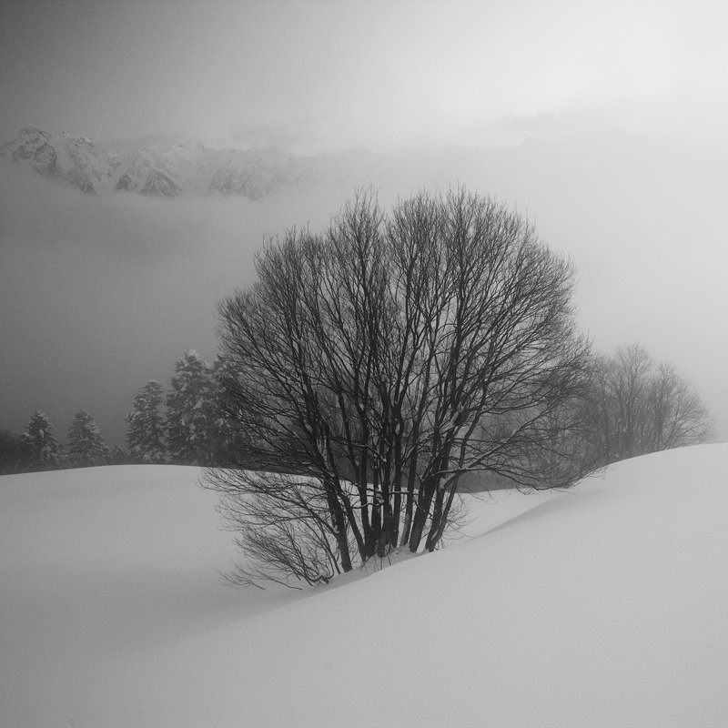 Красная полянаphoto preview