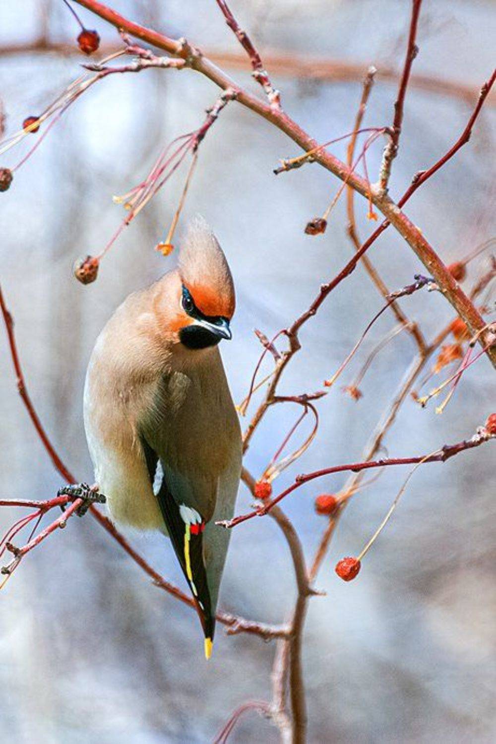 Привет!. Автор: Качурин Алексей южный урал,оренбургская область, орск, новотроицк,башкирия, башкиртостан, Качурин Алексей