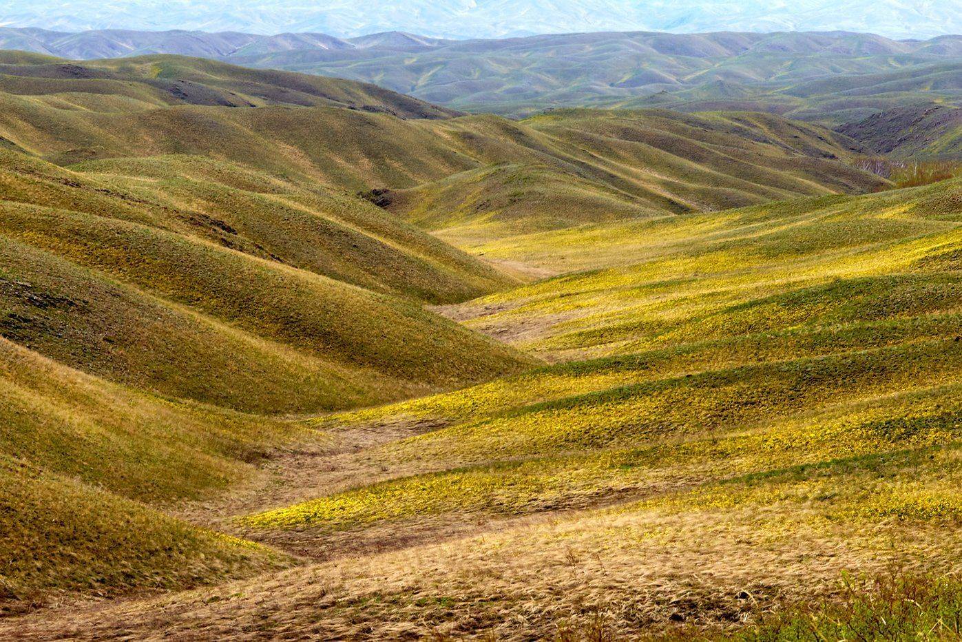 Просторы Южного Урала. Автор: Качурин Алексей южный урал,оренбургская область, орск, новотроицк,башкирия, башкертостан, Качурин Алексей