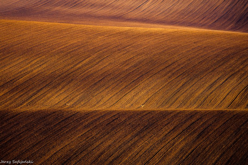 I walk around Moraviaphoto preview