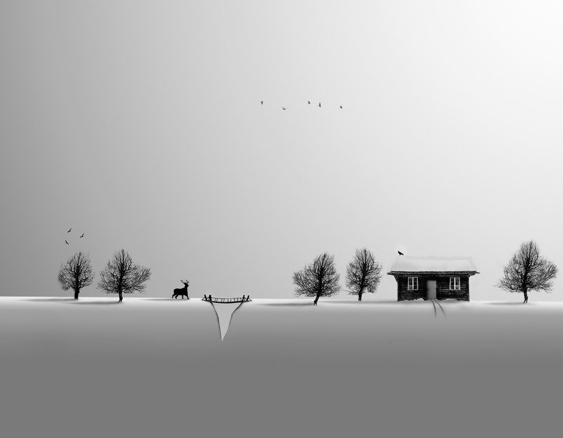 #35photo #surrealart#ps_fantasy#art_minimal #bnw_dream #photography#minimalism#conceptual#fineart #instagram#iranfeature#bnwminimalismmag#art_digital #ir_photographer#iran #photographize#blackandwhite#bnw_greatshots  #surreal#hadimalijani#art#fantastic_ea photo preview