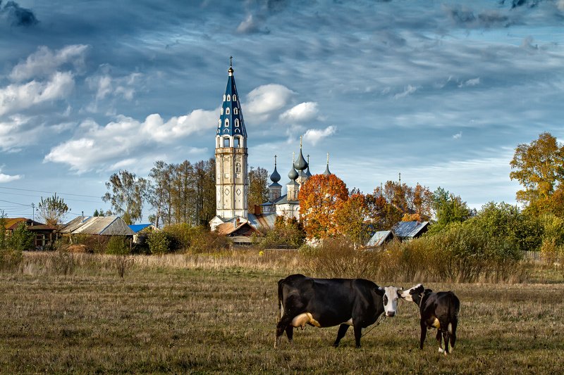 Далеко, далеко, на лугу пасутся КО...)photo preview