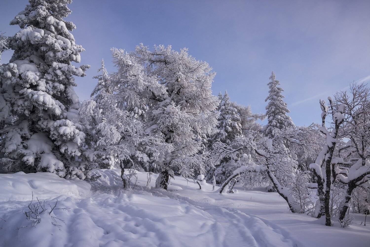 Автор: Андрей Шарапов , Андрей Шарапов