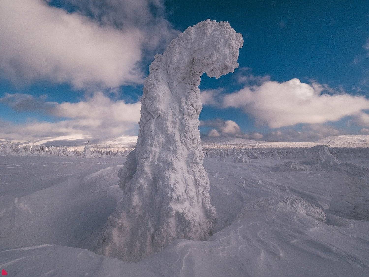 , Осипов Ёжъ Александр