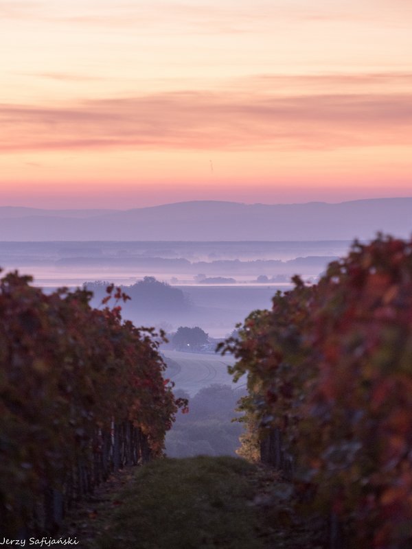 I walk around Moraviaphoto preview