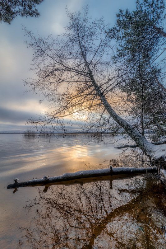 К светуphoto preview