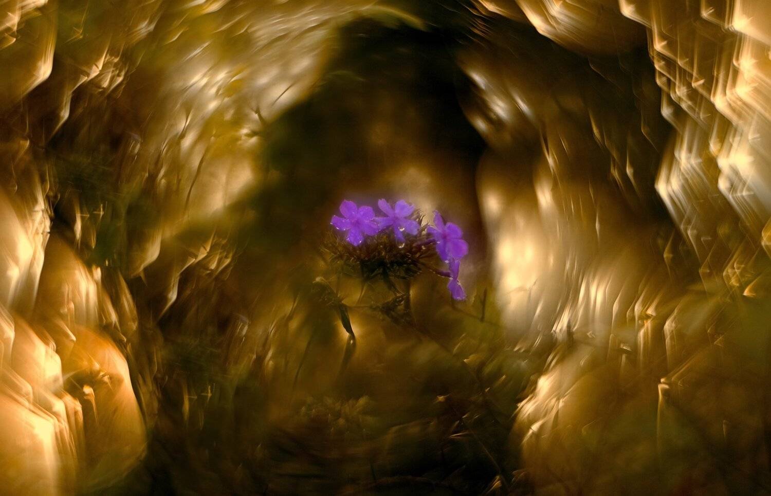 осень, макро, Sixten ( Сергей )