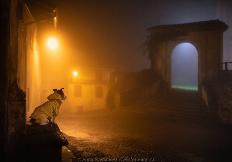 туманный вечерphoto preview