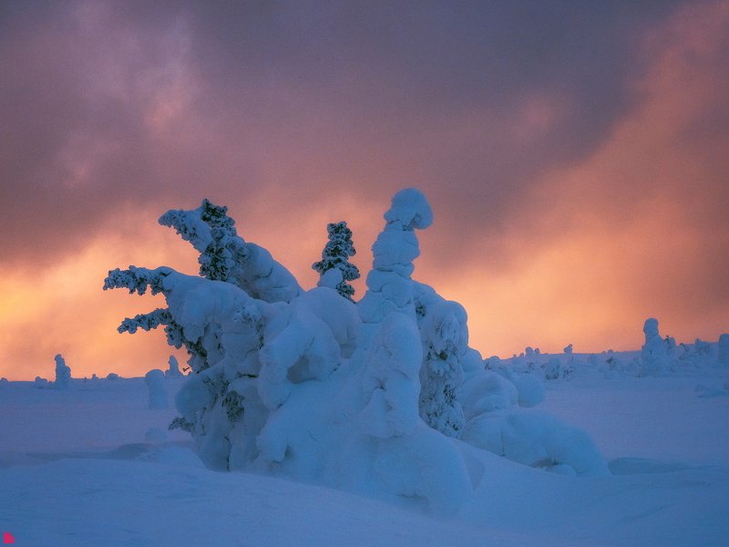 Вечерphoto preview