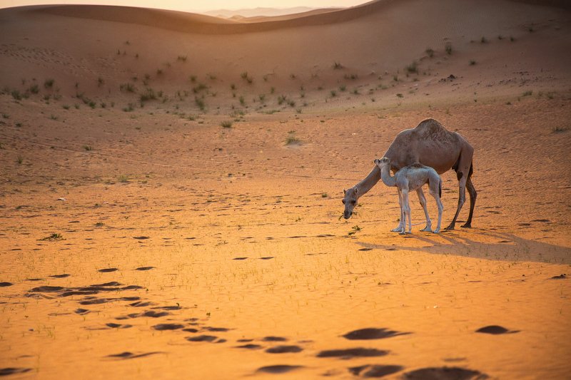 360° of mephoto preview