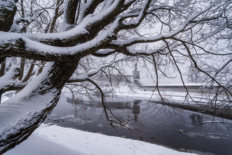 псков, россия, зима, река Зимаphoto preview