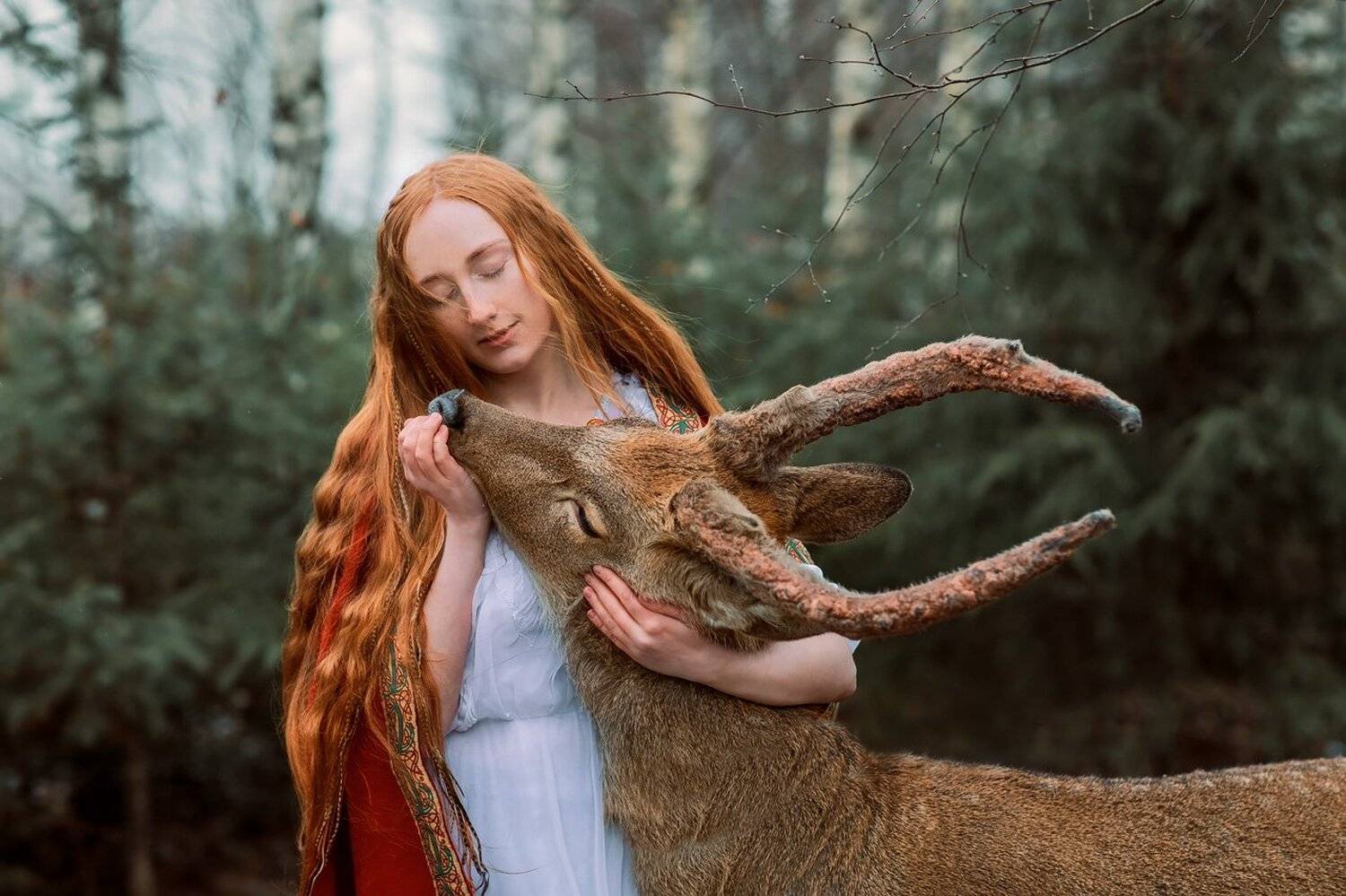 Автор: Александра Савенкова , Александра Савенкова