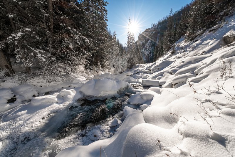 зима, солнце, река, алтай, россия Морозный ясный деньphoto preview