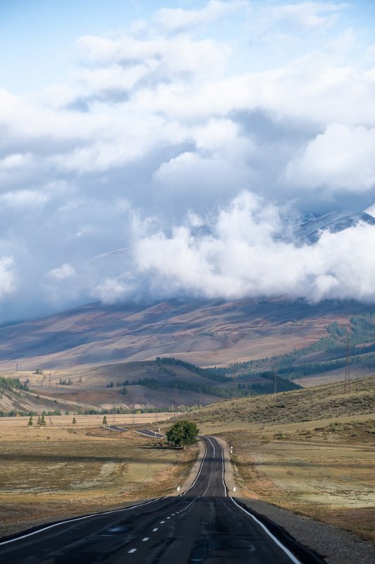 дорога, алтай, россия, чуйский тракт, горы Чуйский трактphoto preview