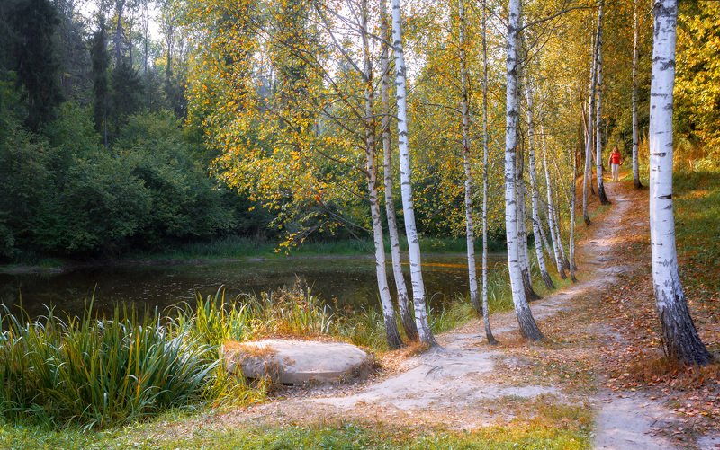 пруд, осень, лес, тропа, девушка По осенней тропинкеphoto preview