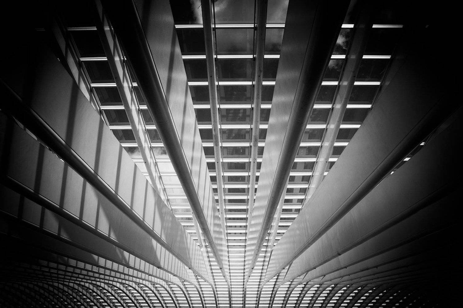 La gare des Guillemins 4. Автор: Eddie , Eddie