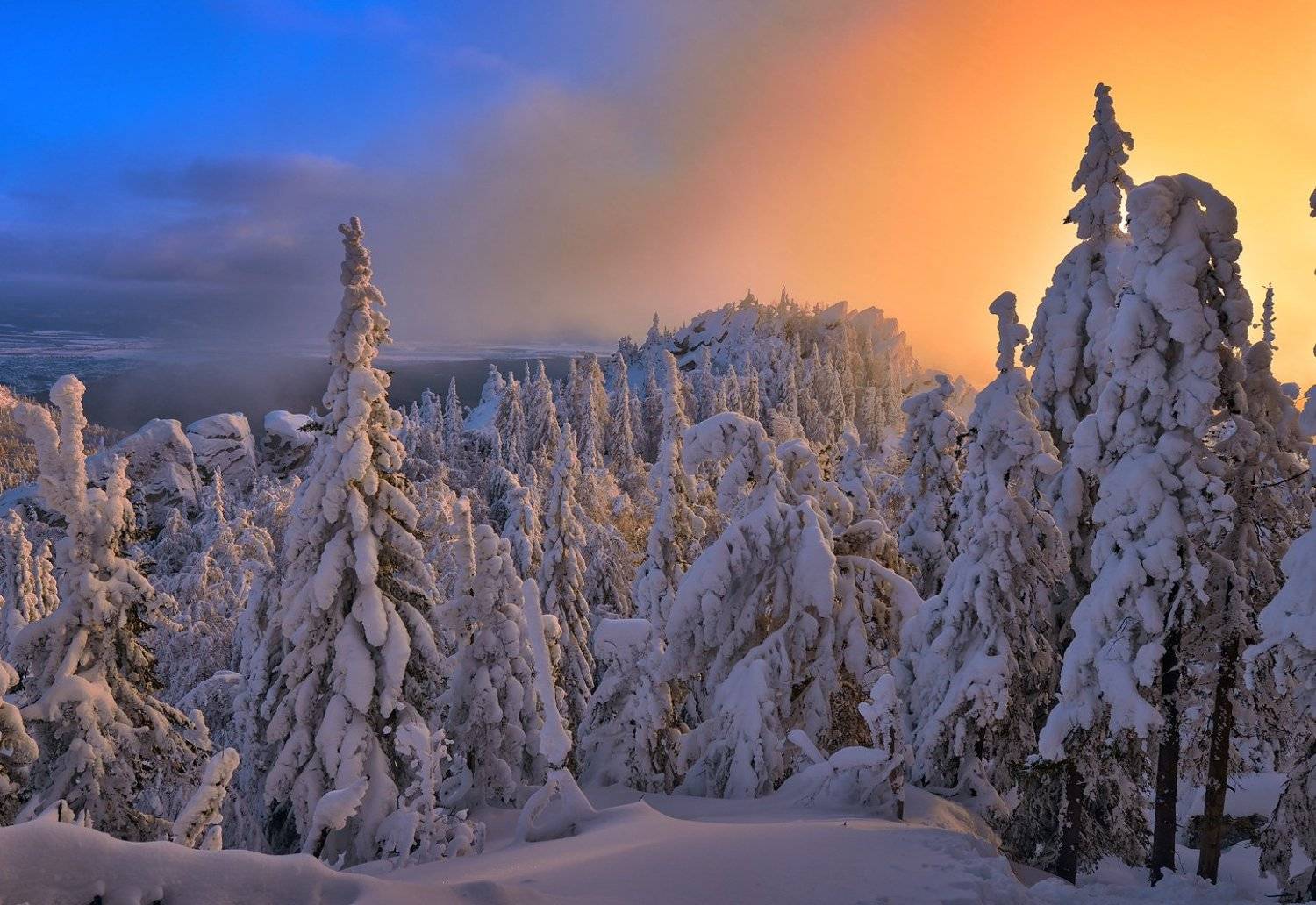 Автор: Клековкин Алексей , Клековкин Алексей