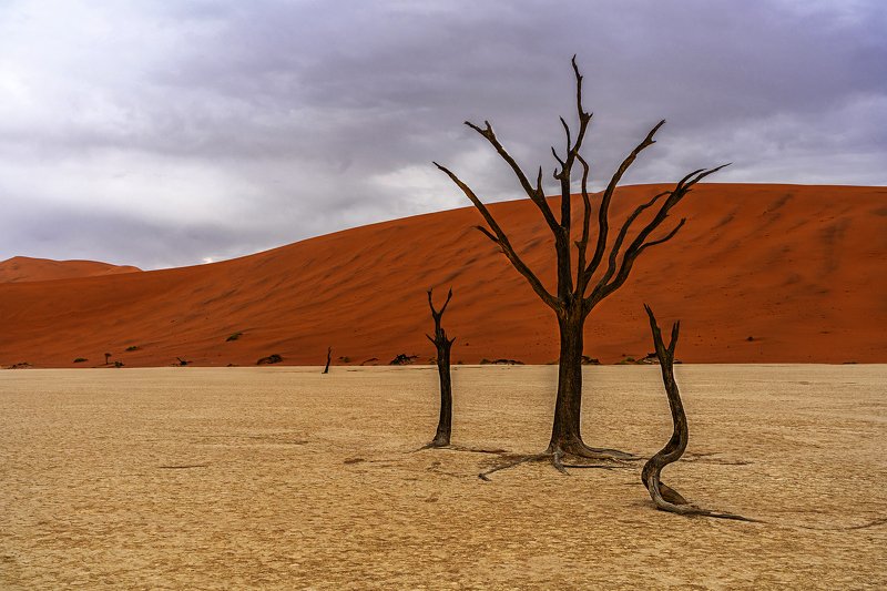 #Namibia #Desert #Deadvlei #Orange #Tree #Sunrise  Dead Vlei Treephoto preview
