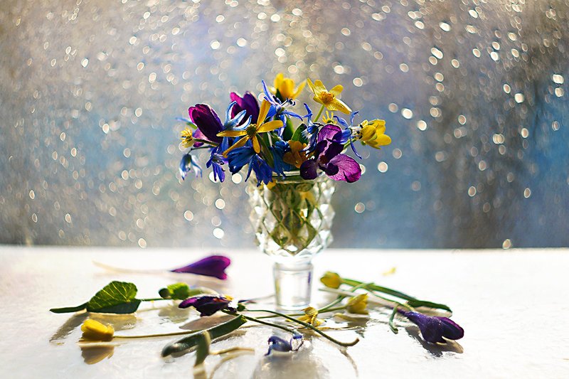 Весенний привет...photo preview