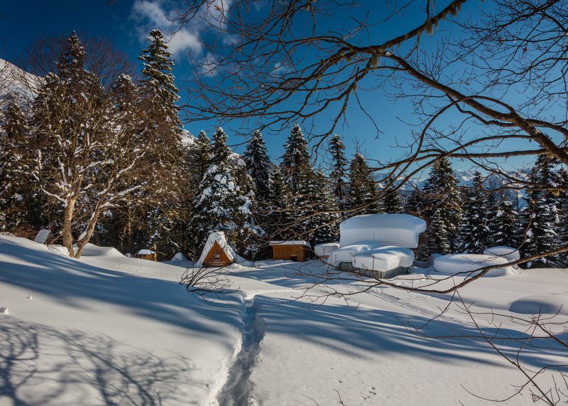 Красная полянаphoto preview