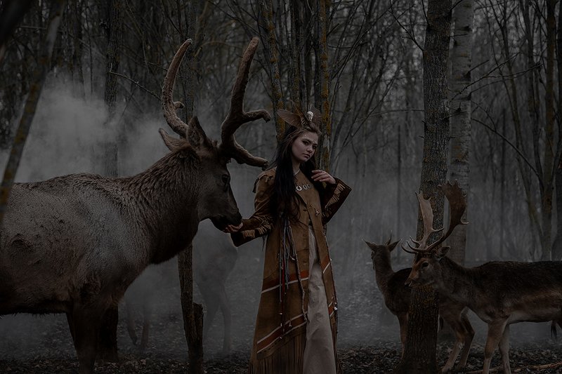 шаманкаphoto preview