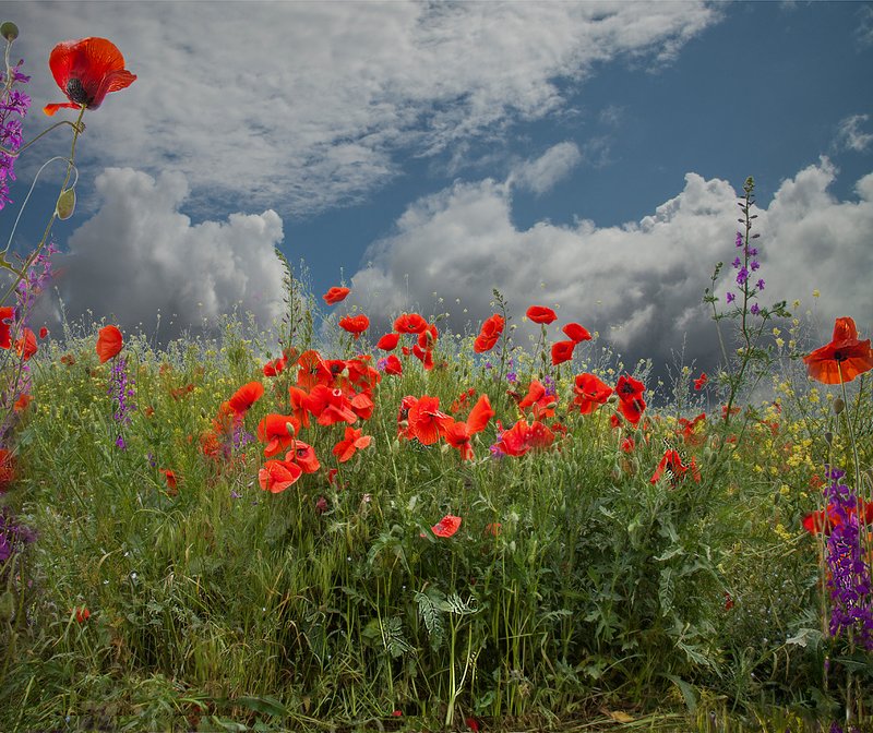 Крым .2019 год. фото превью