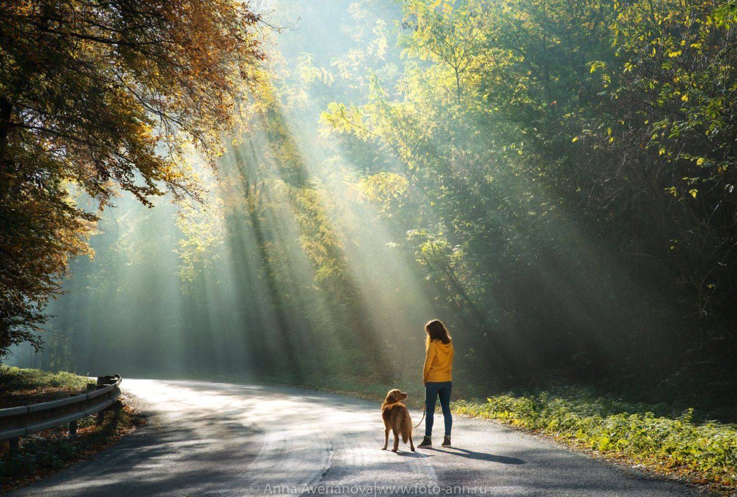 , Анна Аверьянова