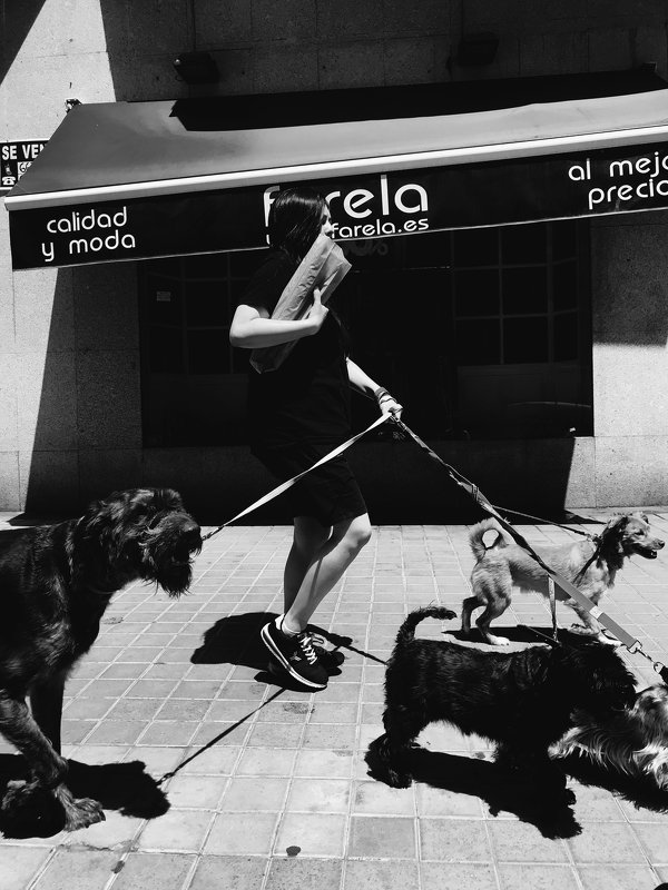 Псы апокалипсисаphoto preview