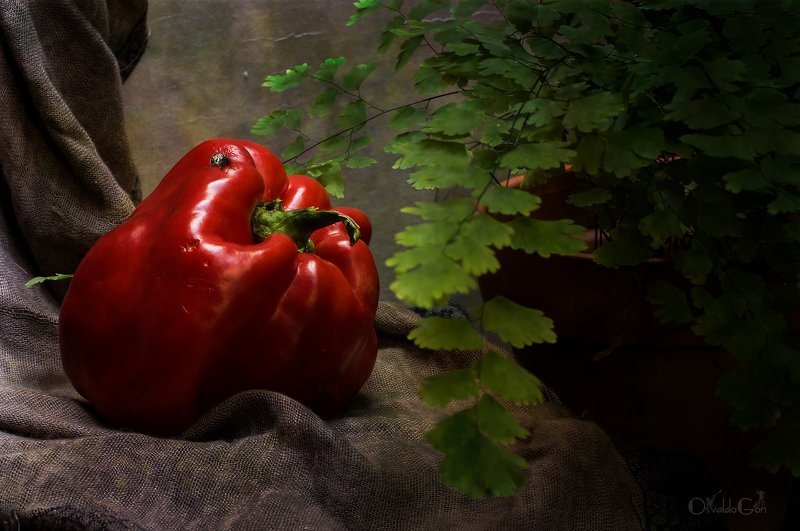 Mr. pepperphoto preview