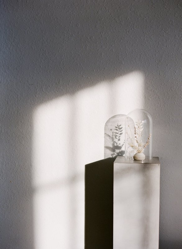 still, life Afternoon Lightphoto preview