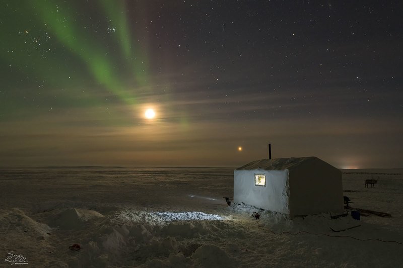якутия, анабар, долганы Ночь в Анабарской тундре фото превью