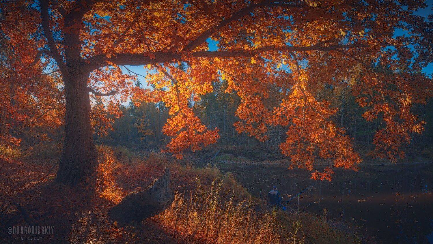 Про рыбалку). Автор: Михаил Дубровинский осень, река, бужа, владимирская область, рыбак, рассвет, Михаил Дубровинский