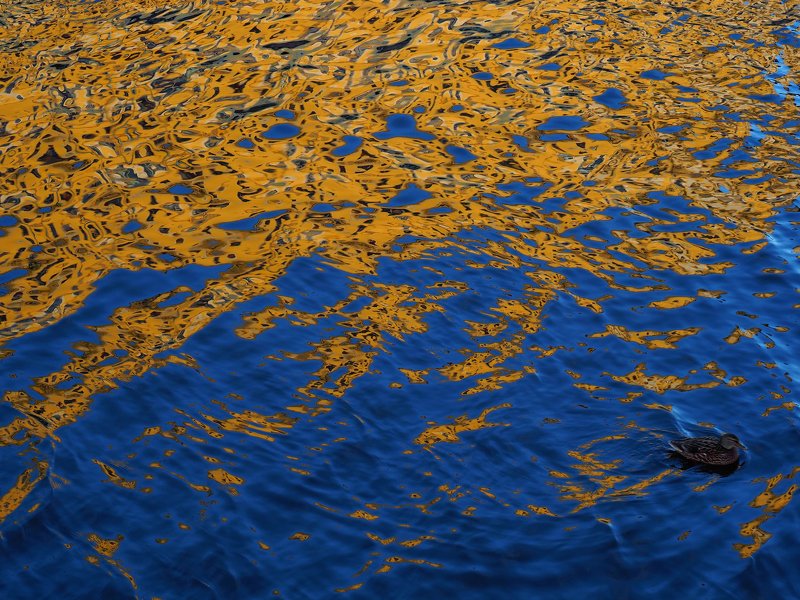 абстракция, минимализм, отражение  Блеск воды photo preview