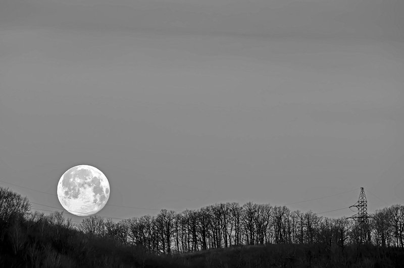природа, ночь, луна, суперлуние, На качеляхphoto preview