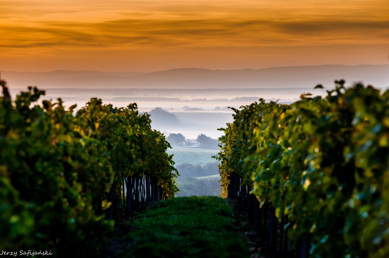 I walk around Moraviaphoto preview