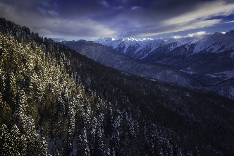 Красная полянаphoto preview