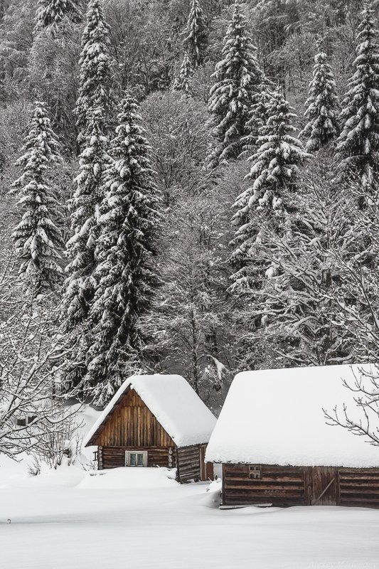 карпаты, украина, зима, свидовец Хатки ожидаютphoto preview